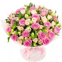 White and pink dreams